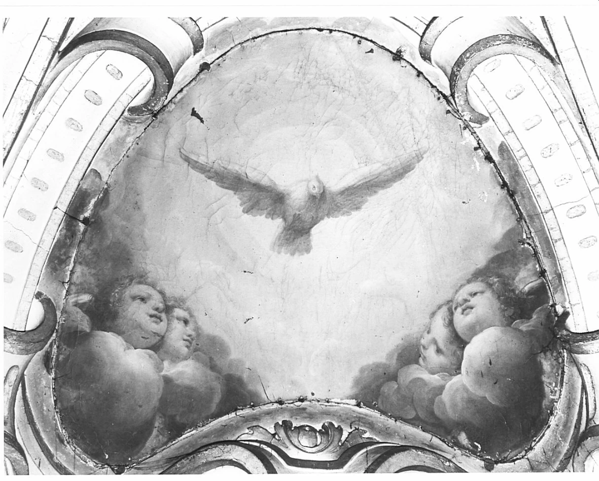 Colomba dello Spirito Santo - Milano